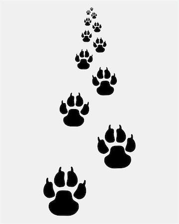footprints on a path vector - Black trail of dog, forward, vector illustration Stock Photo - Budget Royalty-Free & Subscription, Code: 400-07933050
