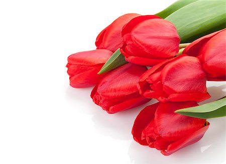 simsearch:400-08036453,k - Fresh red tulips bouquet isolated on white background with copy space Stock Photo - Budget Royalty-Free & Subscription, Code: 400-07933834