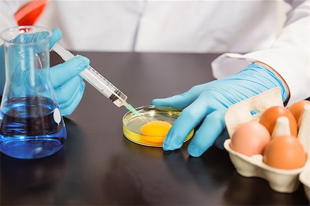 simsearch:400-07835228,k - Food scientist injecting an egg yolk in petri dish at the university Stockbilder - Microstock & Abonnement, Bildnummer: 400-07940507