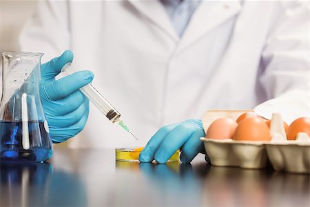 simsearch:400-07835228,k - Food scientist injecting an egg yolk in petri dish at the university Stockbilder - Microstock & Abonnement, Bildnummer: 400-07940508