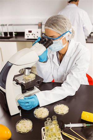 simsearch:400-07835228,k - Food scientist looking at petri dish under microscope at the university Stockbilder - Microstock & Abonnement, Bildnummer: 400-07940500