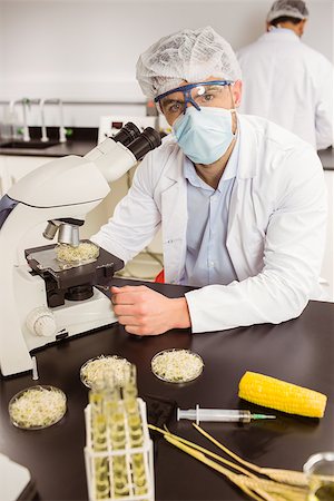 simsearch:400-07835228,k - Food scientist looking at petri dish under microscope at the university Stockbilder - Microstock & Abonnement, Bildnummer: 400-07940503