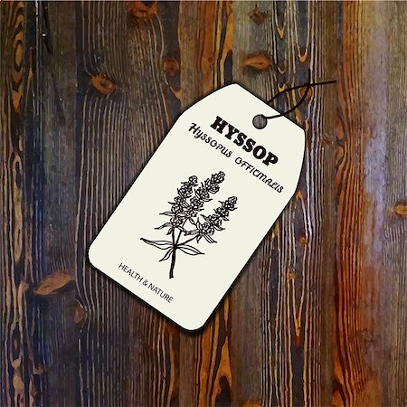 Health and Nature Collection. Tag template with a herb on wood background. Hyssop - Hyssopus officinalis Stock Photo - Budget Royalty-Free & Subscription, Code: 400-07954486
