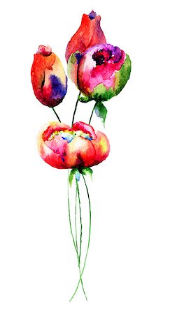 peony art - Tulips and Peony flowers, watercolor illustration Stock Photo - Budget Royalty-Free & Subscription, Code: 400-07954815