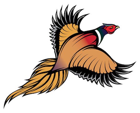 vector illustration of a stylish multi-colored flying pheasant Stock Photo - Budget Royalty-Free & Subscription, Code: 400-07955048