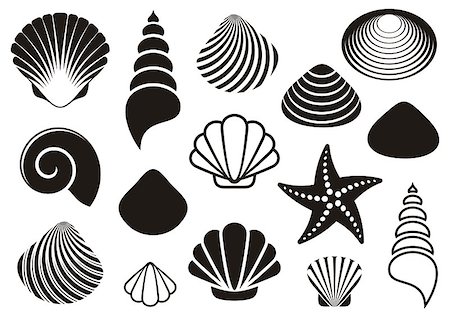 simsearch:400-07099101,k - Set of different black sea shells and starfish Stock Photo - Budget Royalty-Free & Subscription, Code: 400-07955351