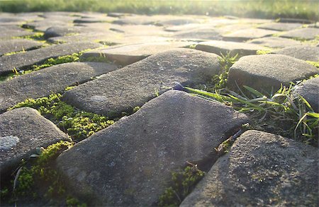 old cobble stone road with moss grass and evening low sun Stockbilder - Microstock & Abonnement, Bildnummer: 400-07955621
