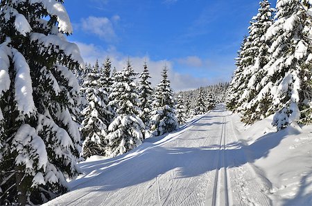 ski trail - fresh track for cross-country skiing through the forest with lots of snow Photographie de stock - Aubaine LD & Abonnement, Code: 400-07956457