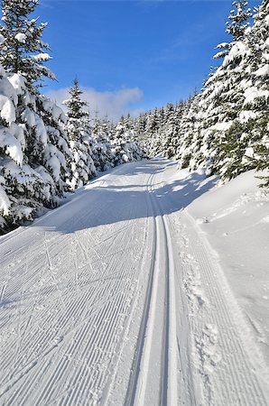 studio023 (artist) - fresh track for cross-country skiing through the forest with lots of snow Stockbilder - Microstock & Abonnement, Bildnummer: 400-07956459