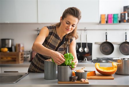 simsearch:400-07956018,k - Happy young housewife using fresh basil while cooking in kitchen Stockbilder - Microstock & Abonnement, Bildnummer: 400-07956572