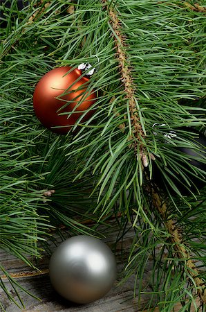 simsearch:400-06554049,k - Christmas Decoration with Orange and Silver Baubles into Fluffy Green Pine Branches with Long Needles closeup on Wooden background Foto de stock - Royalty-Free Super Valor e Assinatura, Número: 400-07951333