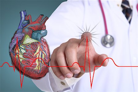 earth hospital - Doctor touch heart beat graph for take care your healthy Stock Photo - Budget Royalty-Free & Subscription, Code: 400-07951562