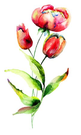 simsearch:400-06202782,k - Tulips and Peony flowers, watercolor illustration Stock Photo - Budget Royalty-Free & Subscription, Code: 400-07951652