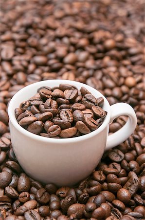 Coffee is a brewed beverage prepared from the roasted or baked seeds of several species of an evergreen shrub of the genus Coffea Stock Photo - Budget Royalty-Free & Subscription, Code: 400-07952009