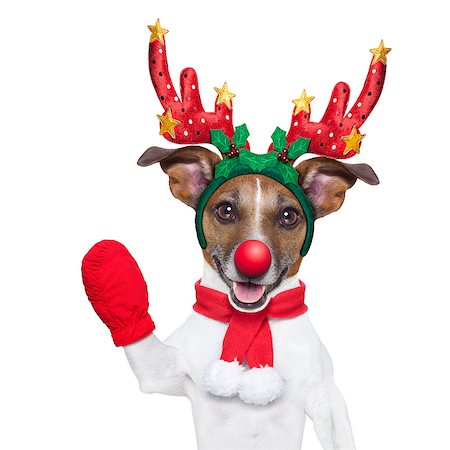 simsearch:400-07050961,k - reindeer dog with a red nose  and waving hand isolated on white background Stock Photo - Budget Royalty-Free & Subscription, Code: 400-07952267