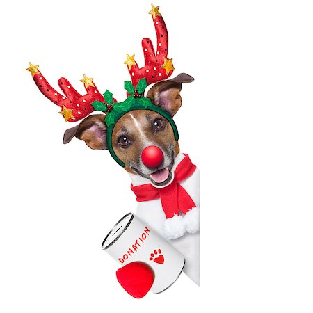 simsearch:400-08696541,k - reindeer dog with a donation can , collecting money for  charity, as a winter edition , isolated on white background Foto de stock - Super Valor sin royalties y Suscripción, Código: 400-07952268
