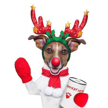 simsearch:400-08696541,k - reindeer dog with a donation can , collecting money for  charity, as a winter edition , isolated on white background Foto de stock - Super Valor sin royalties y Suscripción, Código: 400-07952269