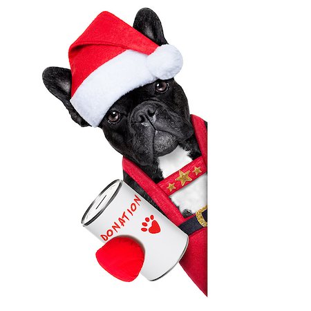 simsearch:400-08899981,k - reindeer french bulldog with a donation can , collecting money for  charity, as a winter edition , isolated on white background Foto de stock - Super Valor sin royalties y Suscripción, Código: 400-07952271