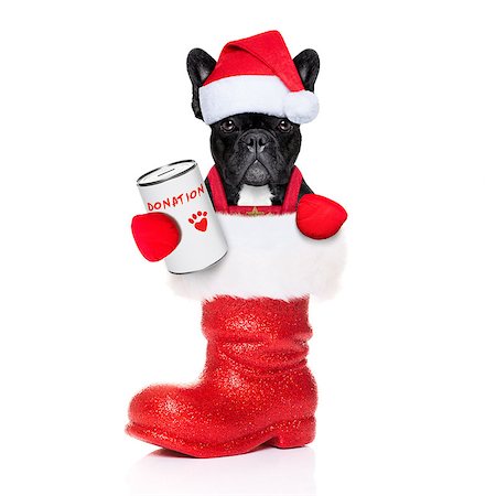 simsearch:400-08899981,k - reindeer french bulldog with a donation can , collecting money for  charity, inside a santa boot, isolated on white background Foto de stock - Super Valor sin royalties y Suscripción, Código: 400-07952272