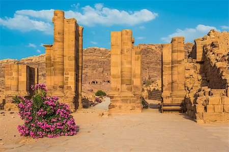 The Hadrien Gate roman avenue in Nabatean Petra Jordan middle east Stock Photo - Budget Royalty-Free & Subscription, Code: 400-07952527