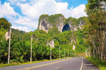 simsearch:400-07295714,k - asphalt highway in jungle wit mount, Krabi, Thailand Stock Photo - Budget Royalty-Free & Subscription, Code: 400-07953998