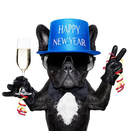 funny jack russell christmas pictures - french bulldog with a  champagne glass and victory or peace fingers Stock Photo - Budget Royalty-Free & Subscription, Code: 400-07974489