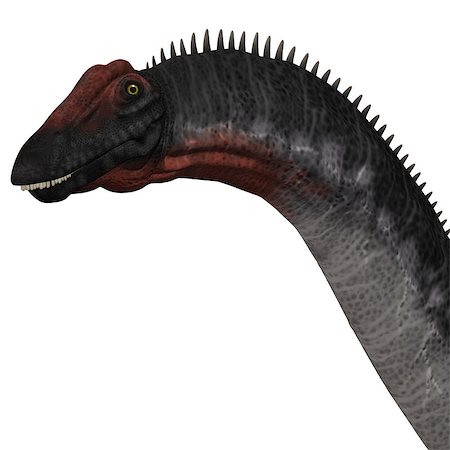 simsearch:400-05375985,k - Apatosaurus also called Brontosaurus is a sauropod dinosaur of Western North America during the Jurassic Era. Foto de stock - Royalty-Free Super Valor e Assinatura, Número: 400-07974919