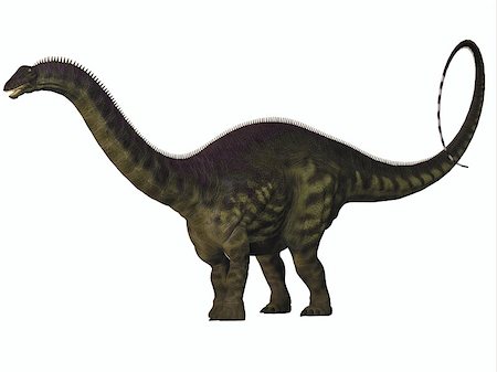 simsearch:400-05375985,k - Apatosaurus also called Brontosaurus is a sauropod dinosaur of Western North America during the Jurassic Era. Foto de stock - Royalty-Free Super Valor e Assinatura, Número: 400-07974920