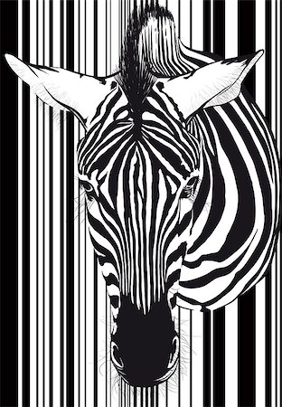 sharpner (artist) - Muzzle zebra as a barcode from the front. Isolated on white Stockbilder - Microstock & Abonnement, Bildnummer: 400-07978455