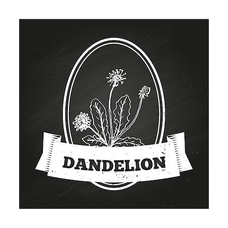 simsearch:400-06358844,k - Health and Nature Collection. Badge template with a herb on chalkboard background. Dandelion Photographie de stock - Aubaine LD & Abonnement, Code: 400-07978838