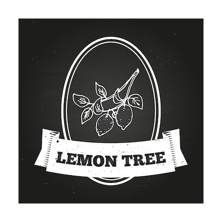 simsearch:400-06358844,k - Health and Nature Collection. Badge template with a herb on chalkboard background. Lemon tree Photographie de stock - Aubaine LD & Abonnement, Code: 400-07978831