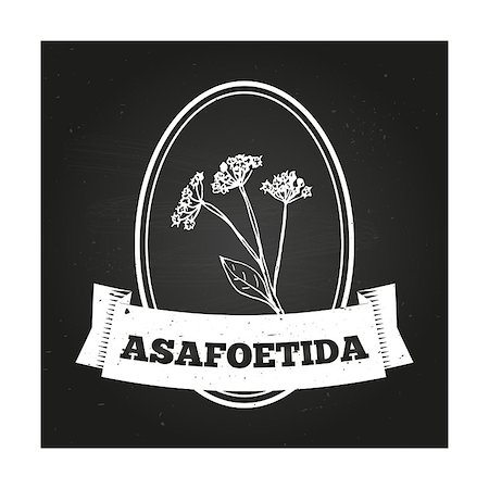 simsearch:400-06358844,k - Health and Nature Collection. Badge template with a herb on chalkboard background. Asafoetida Photographie de stock - Aubaine LD & Abonnement, Code: 400-07978855