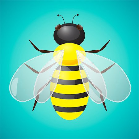 Honey Bee on Blue Background, vector illustration Foto de stock - Super Valor sin royalties y Suscripción, Código: 400-07979429