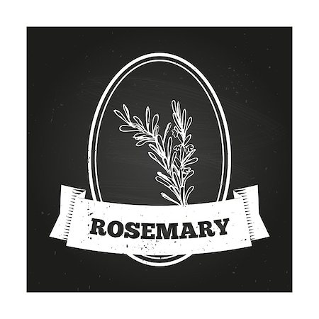 simsearch:400-06358844,k - Health and Nature Collection. Badge template with a herb on chalkboard background. Rosemary Photographie de stock - Aubaine LD & Abonnement, Code: 400-07979619