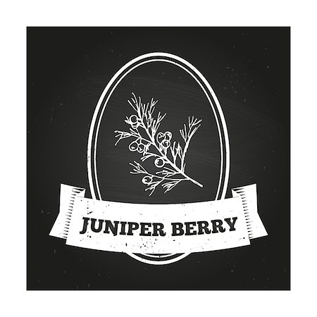 simsearch:400-06358844,k - Health and Nature Collection. Badge template with a herb on chalkboard background. Juniper berry Photographie de stock - Aubaine LD & Abonnement, Code: 400-07979629