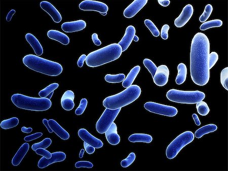 simsearch:400-04337180,k - Colony of pathogen bacteria - 3d render Stock Photo - Budget Royalty-Free & Subscription, Code: 400-07972295