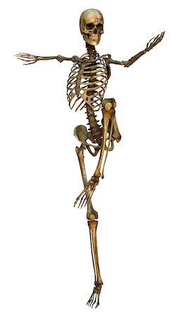 3D digital render of a human skeleton in a cold chicken martial arts position isolated on white background Stock Photo - Budget Royalty-Free & Subscription, Code: 400-07972390