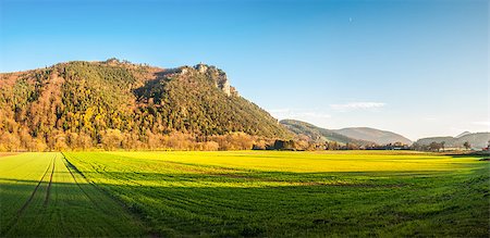 picture of house with high grass - Türkensturz - Ruins of a Casle on the Hill above the Village Stock Photo - Budget Royalty-Free & Subscription, Code: 400-07973919