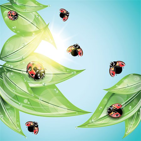 simsearch:400-07984864,k - Red ladybugs on the green leaves on the sky background. Stockbilder - Microstock & Abonnement, Bildnummer: 400-07984865