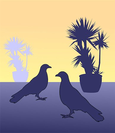 simsearch:400-07975760,k - Silhouettes of two birds and two flowerpots with cactus. Fotografie stock - Microstock e Abbonamento, Codice: 400-07985567