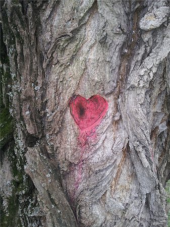 simsearch:400-07986020,k - Illustration of tree bark with carved heart as the ecological Love background. Stock Photo - Budget Royalty-Free & Subscription, Code: 400-07985821