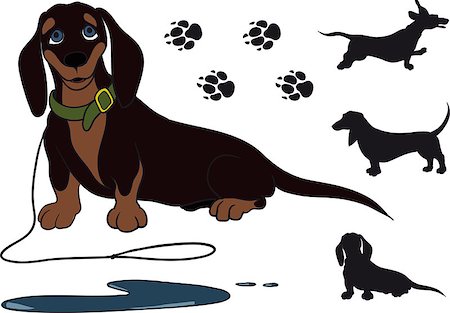 stencils - funny dachshund sitting shorthair. She just pee Stock Photo - Budget Royalty-Free & Subscription, Code: 400-07985837