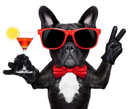 simsearch:400-07822392,k - french bulldog dog holding martini cocktail glass ready to have fun and party, isolated on white background# Foto de stock - Super Valor sin royalties y Suscripción, Código: 400-07986037