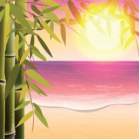 simsearch:400-07984864,k - Bamboo trees and leaves on the sand beach background at sunset time. Vector illustration. Stockbilder - Microstock & Abonnement, Bildnummer: 400-07986764