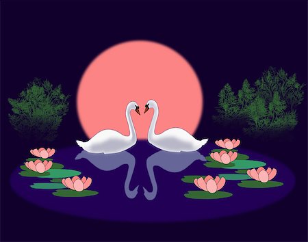 Two swans swimming in a lily pond. Stock Photo - Budget Royalty-Free & Subscription, Code: 400-07988065