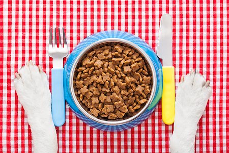 silverware dog - full dog food bowl with knife and fork on tablecloth,paws of a dog Stock Photo - Budget Royalty-Free & Subscription, Code: 400-07988893