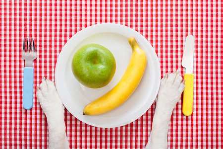 silverware dog - dog food bowl with an apple and banana , with knife and fork  on tablecloth,paws of a dog Stock Photo - Budget Royalty-Free & Subscription, Code: 400-07988906