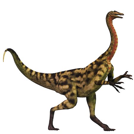 simsearch:400-05375985,k - Deinocheirus was an ostrich dinosaur that lived in the Late Cretaceous Era of Mongolia. Fotografie stock - Microstock e Abbonamento, Codice: 400-07989230