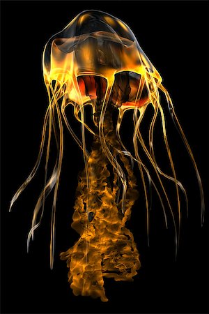 simsearch:400-07578285,k - The jellyfish is a predator of the seas which stings its prey with poisonous tentacles. Fotografie stock - Microstock e Abbonamento, Codice: 400-07989244