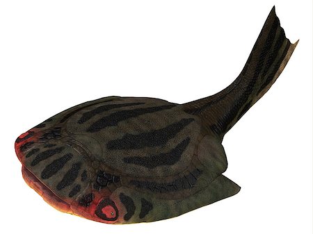 devonian - Drepanaspis is an extinct primitive jawless fish in the Devonian Period of Germany. Stock Photo - Budget Royalty-Free & Subscription, Code: 400-07989242